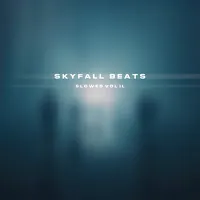 Skyfall Beats — Broke (Slowed) — обложка